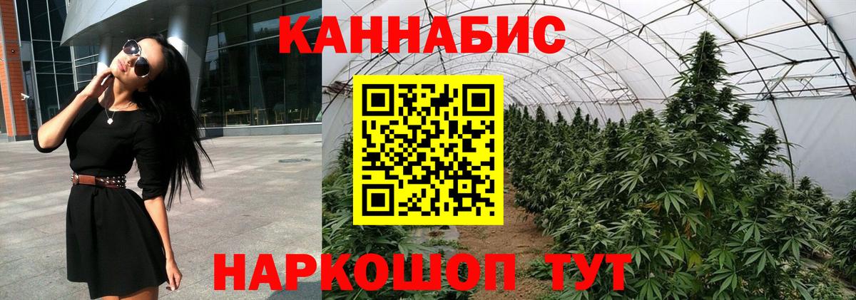 Шишки марихуана конопля  Канабис Ganja  Вход с VPN  Киров  Бошки Шишки Amnesia 