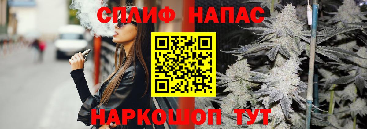 Каннабис планчик Киров